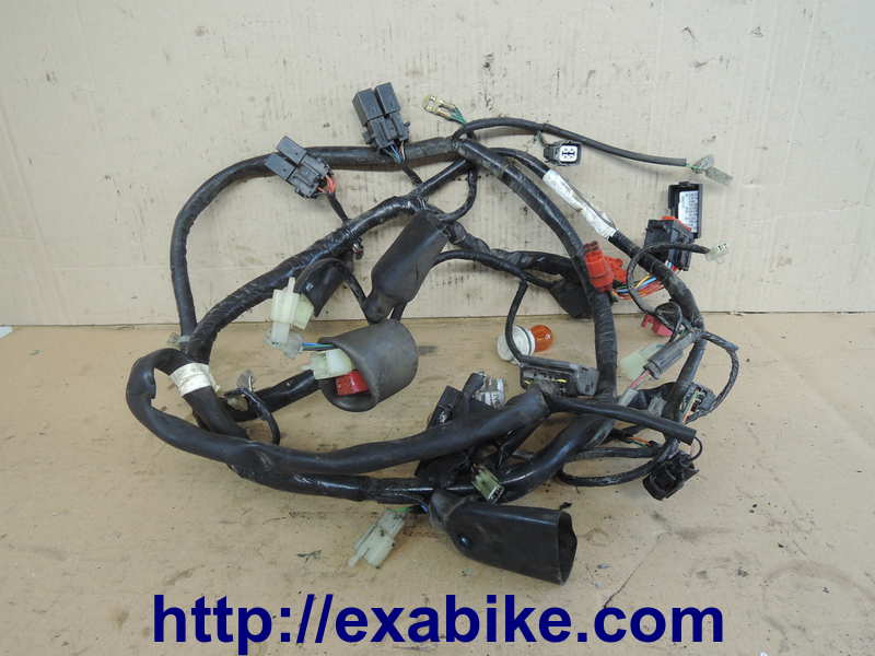 wire harness Honda FES 125 Pantheon - photo 1