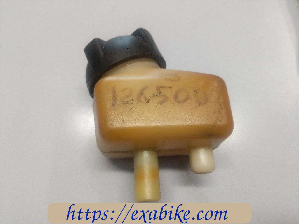 expansion tank Gilera 125 RRT Nebraska - photo 2