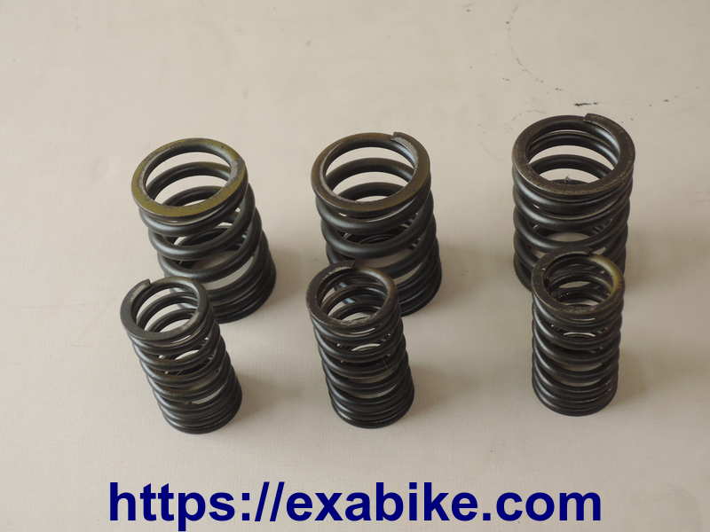 valve springs Kawasaki GPZ 1100 - photo 1