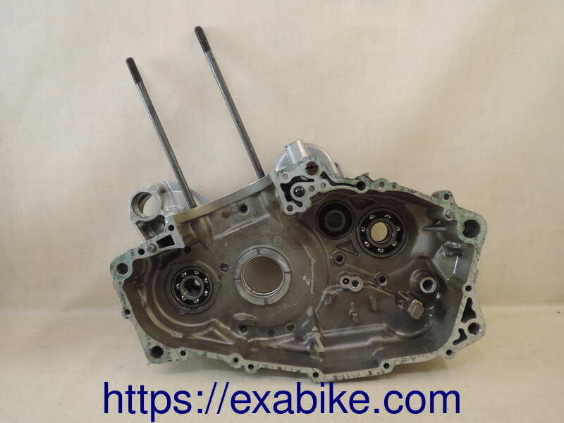 cranckcase BMW F650ST - photo 4
