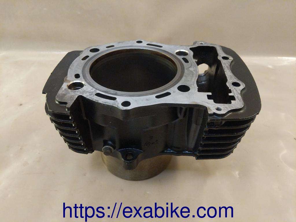 cylinder, front Kawasaki VN 1500 - photo 1