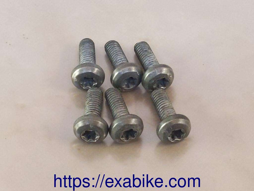 front discs screws MZ RT 125 - photo 1