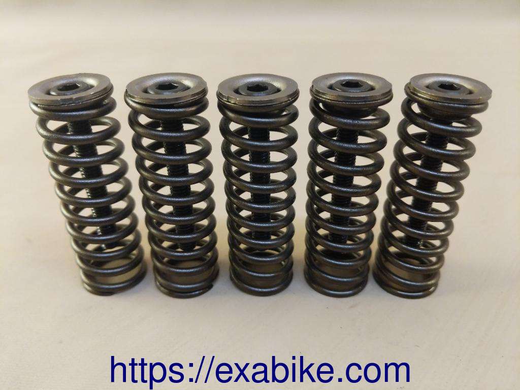 ressorts d'embrayage Suzuki 1250 GSX - photo 1