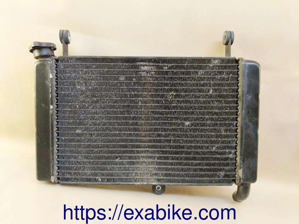 radiator Yamaha YZF 600 Thundercat - photo 1