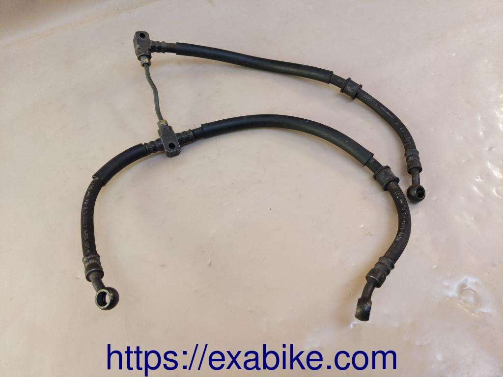 brake hose, front Honda CBR 900 - photo 1