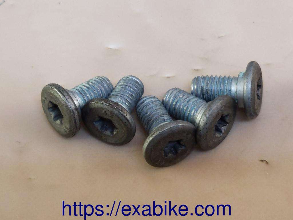 screw BMW R1100GS - photo 1