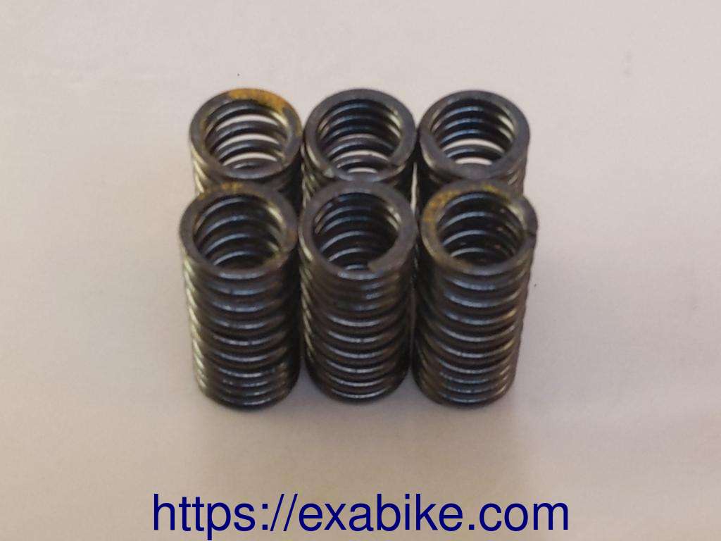 valve springs Honda CBR 600 - photo 1