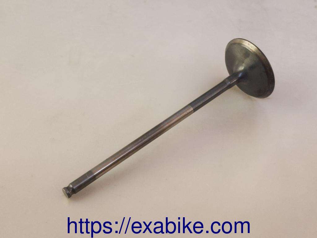 valve, intake Honda CBR 600 - photo 1