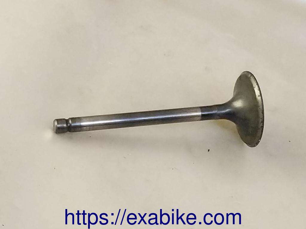 valve, intake Honda XLS 500 - photo 1