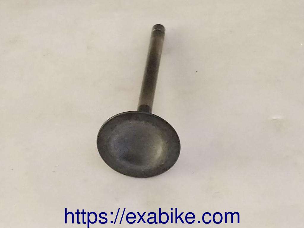 valve, intake Honda XLS 500 - photo 2