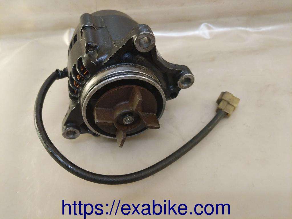 generator Kawasaki 1000 RX - photo 2