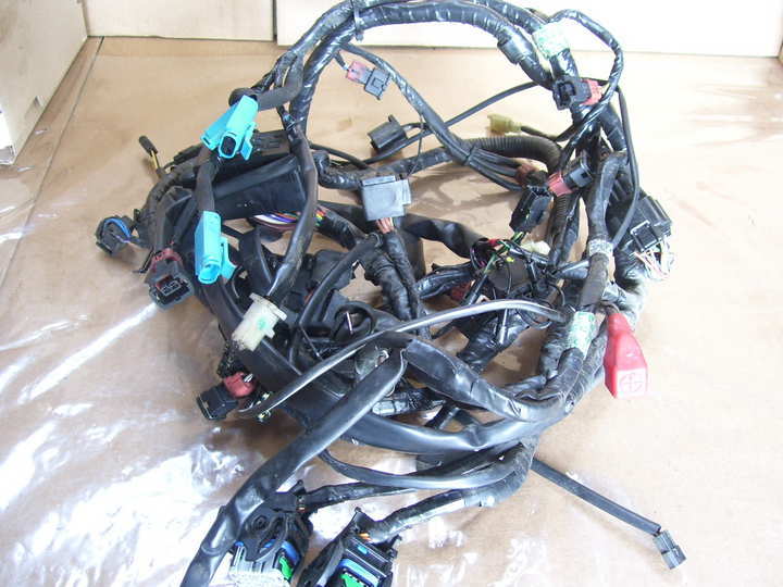 wire harness Triumph Sprint ST 900 - photo 1
