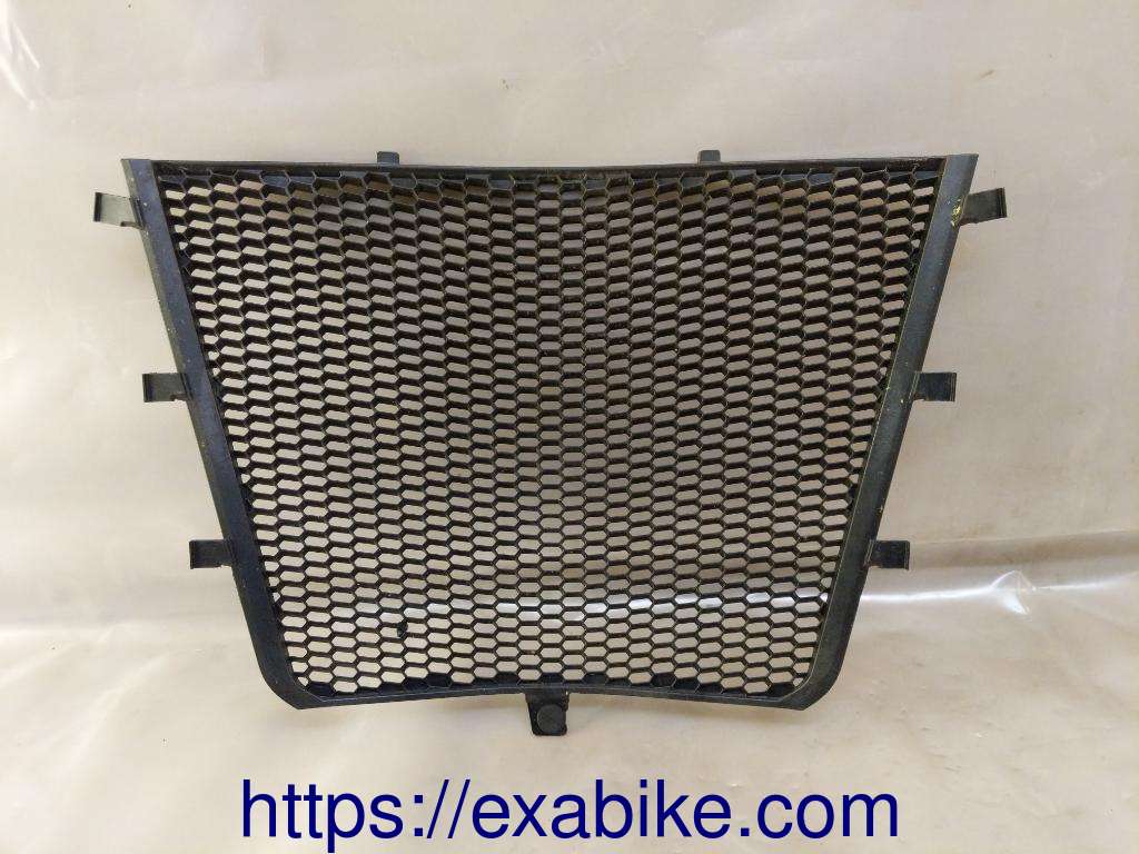 water radiator grille BMW S1000RR - photo 1