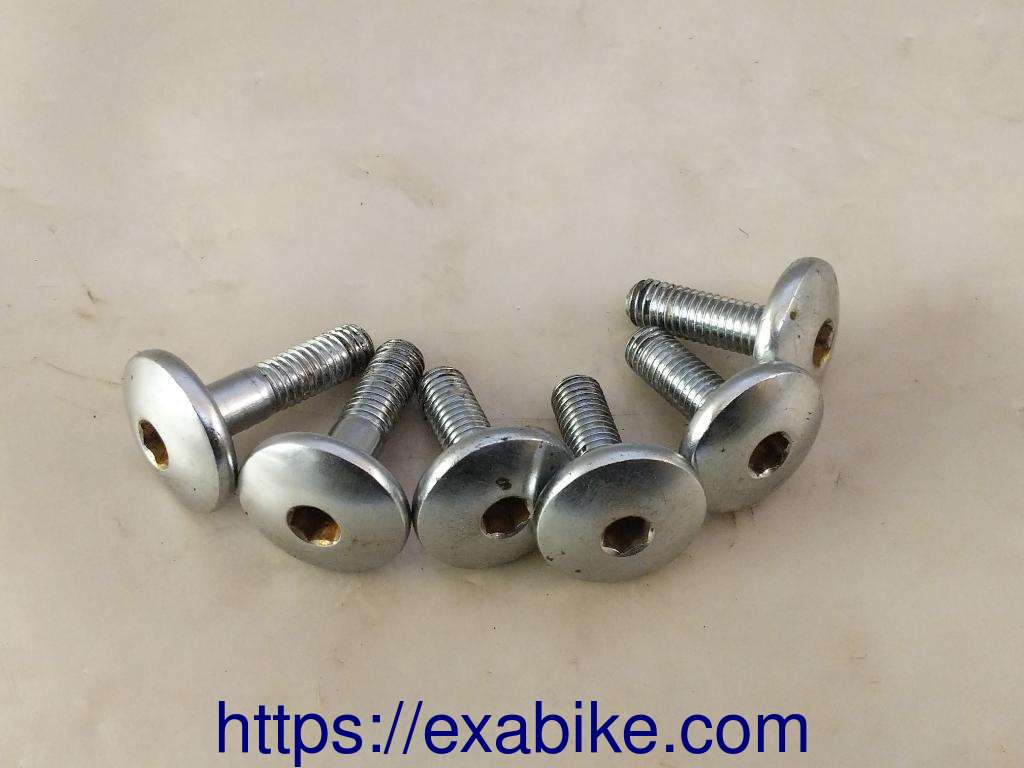 screws Suzuki GSXF 750 - photo 1