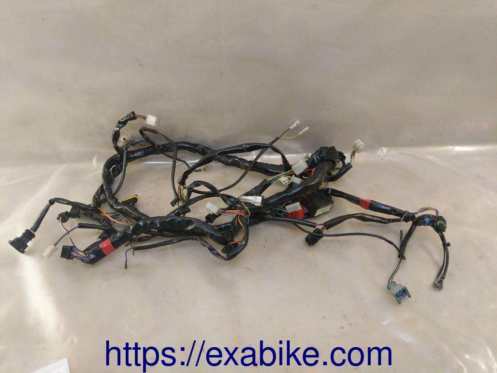 wire harness Aprilia 500 Scarabeo - photo 1