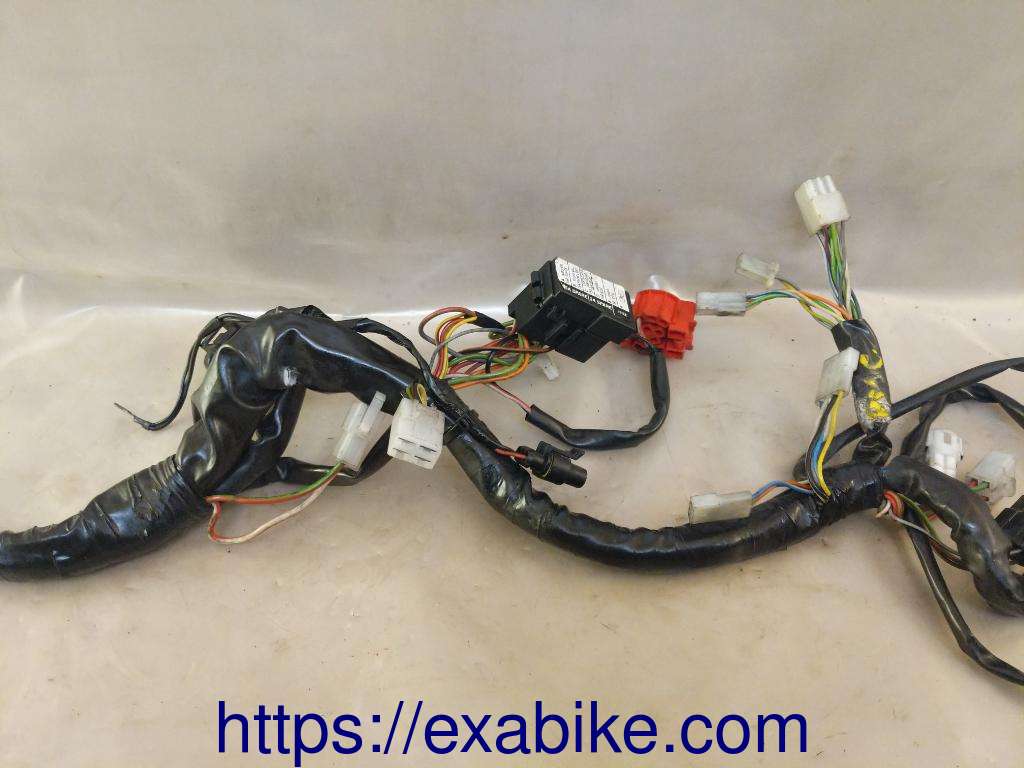 wire harness Aprilia 500 Scarabeo - photo 3