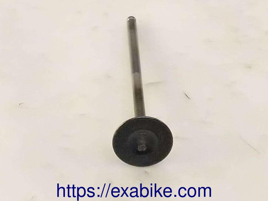 valve, exhaust Yamaha FZS 600 Fazer - photo 2