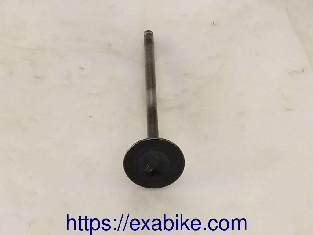 valve, exhaust Yamaha FZS 600 Fazer - photo 2