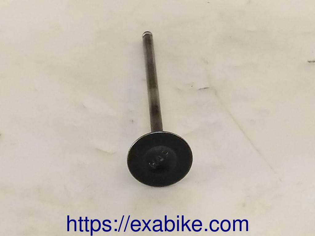 valve, exhaust Yamaha FZS 600 Fazer - photo 2
