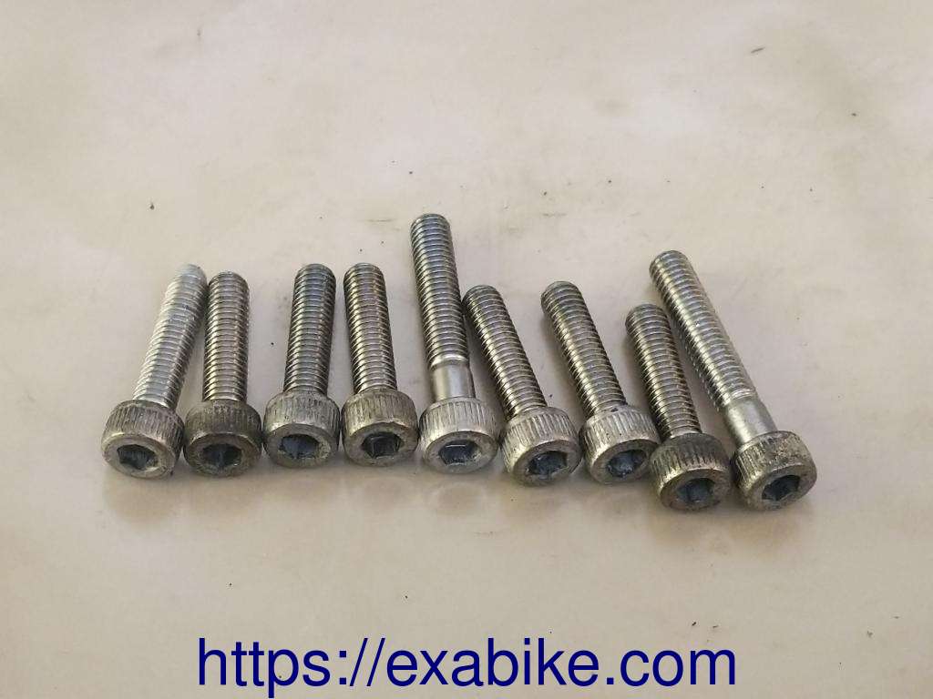 clutch cover screws Yamaha XVZ 1300 Royal Star - photo 1