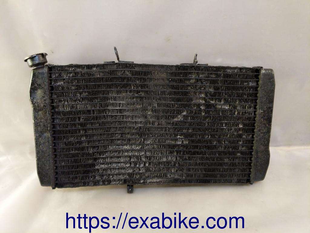radiator Honda CBR 1100 XX - photo 2