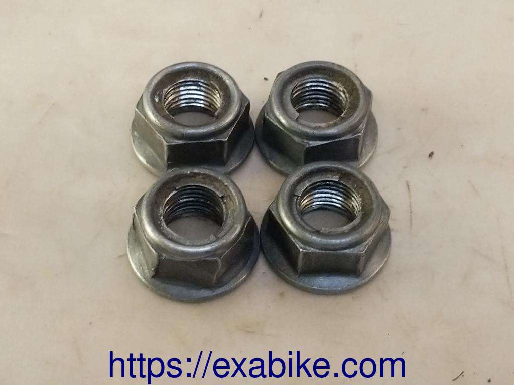 nuts Honda CBR1000F - photo 1