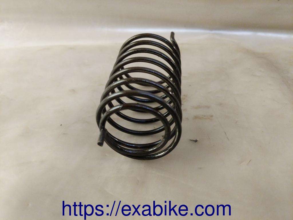 kick shaft spring Aprilia TUAREG 600 - photo 2