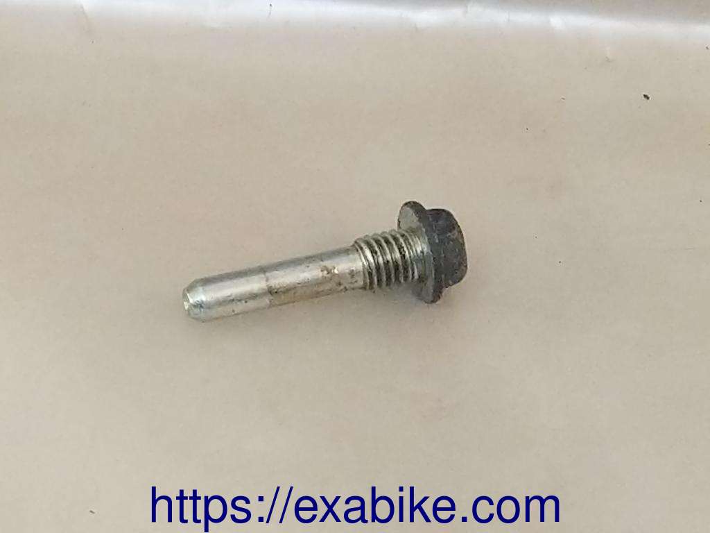 special screw Honda XLR 125 - photo 1