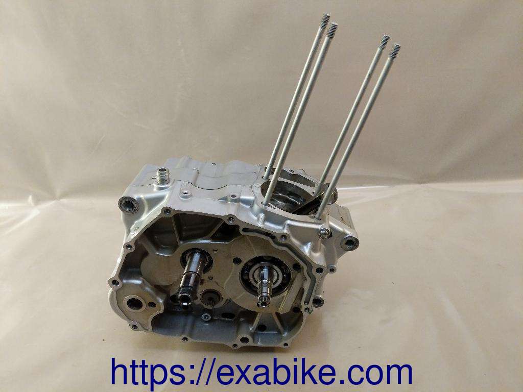 moteur Daelim VL125 Daystar - photo 1