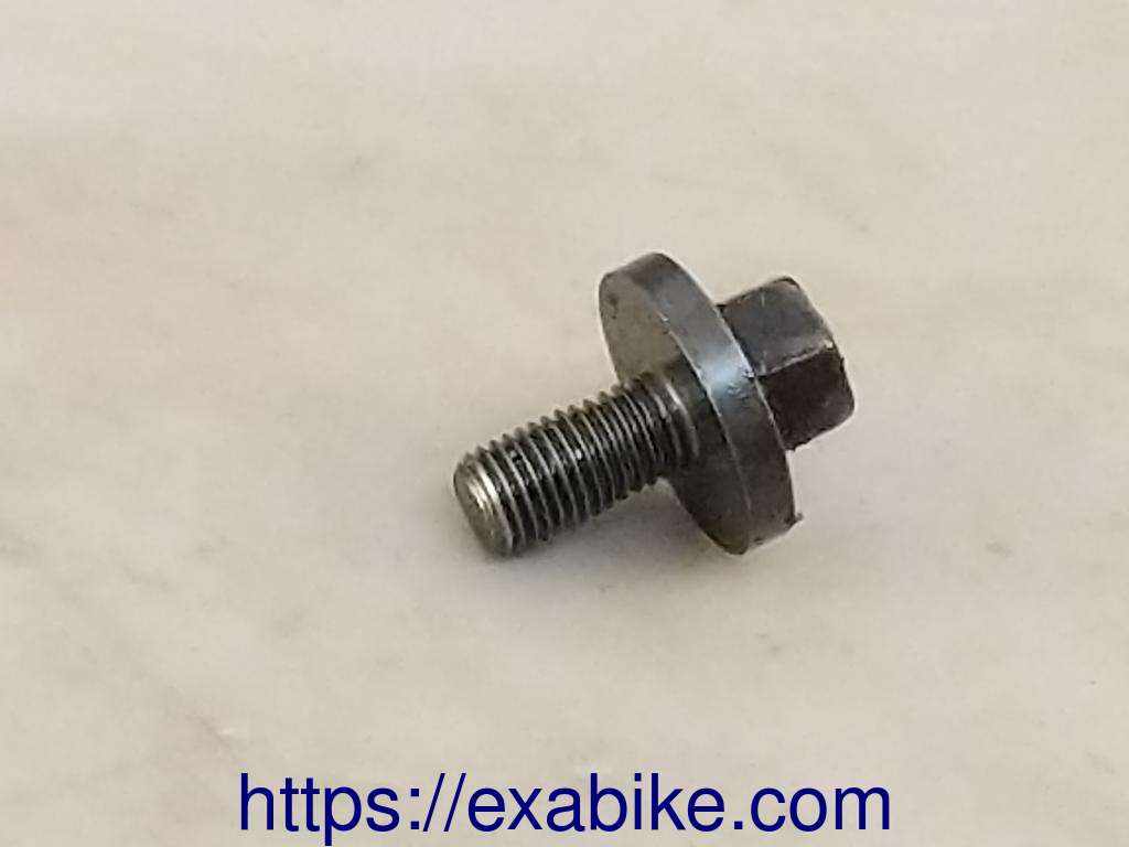 special screw Suzuki SV 650 - photo 1