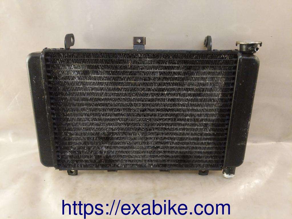 radiator Triumph TT 600 - photo 1