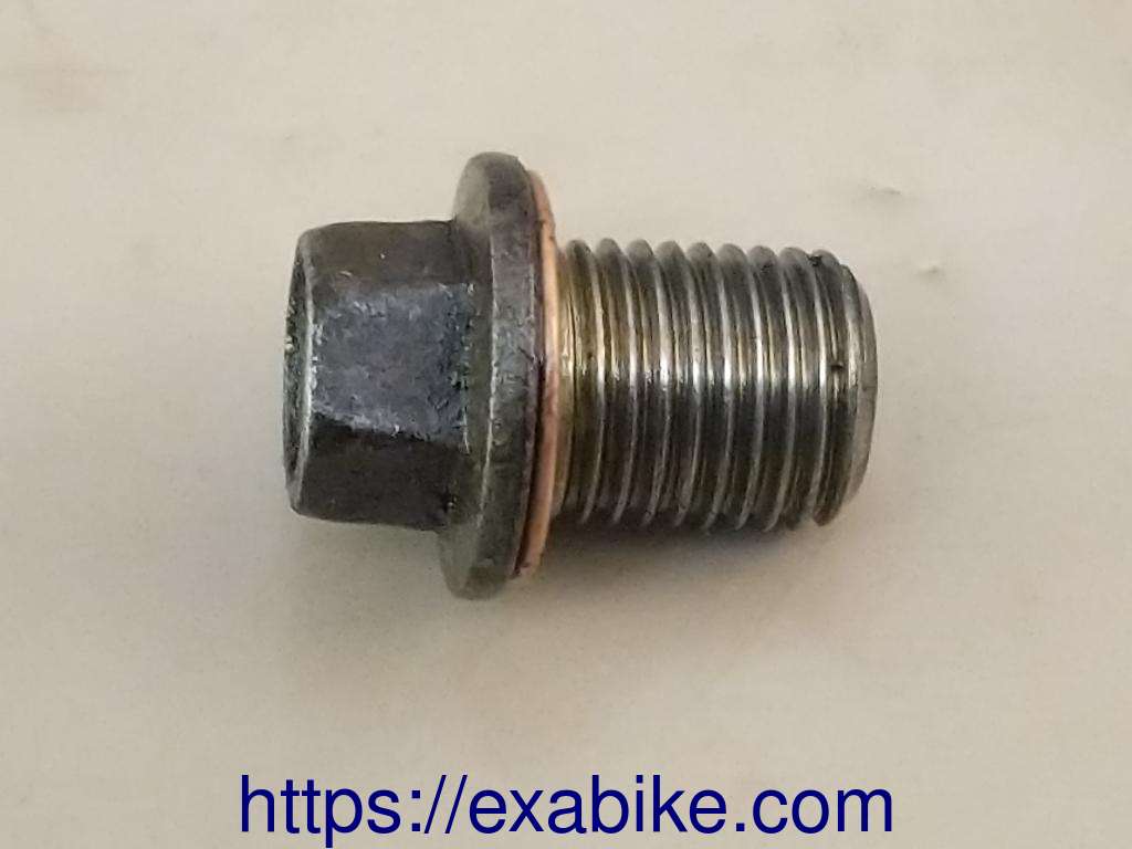 bouchon moteur Triumph TT 600 - photo 1