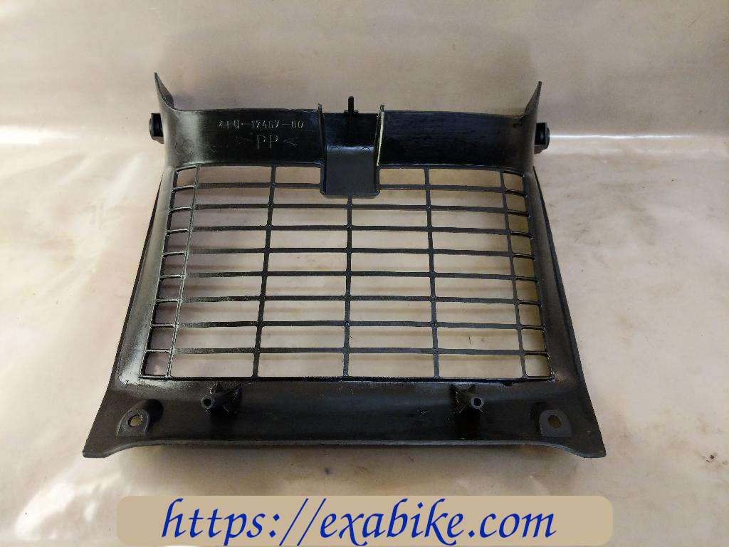 radiator grille Yamaha TDR 125 - photo 2