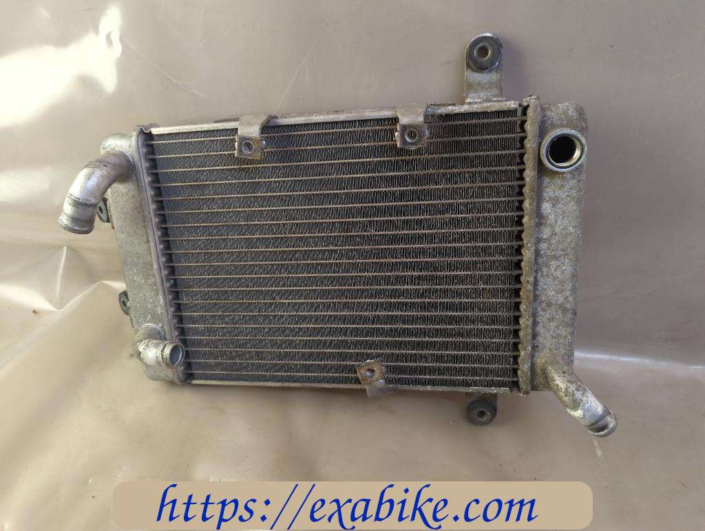 radiator Suzuki 400 Burgman - photo 1