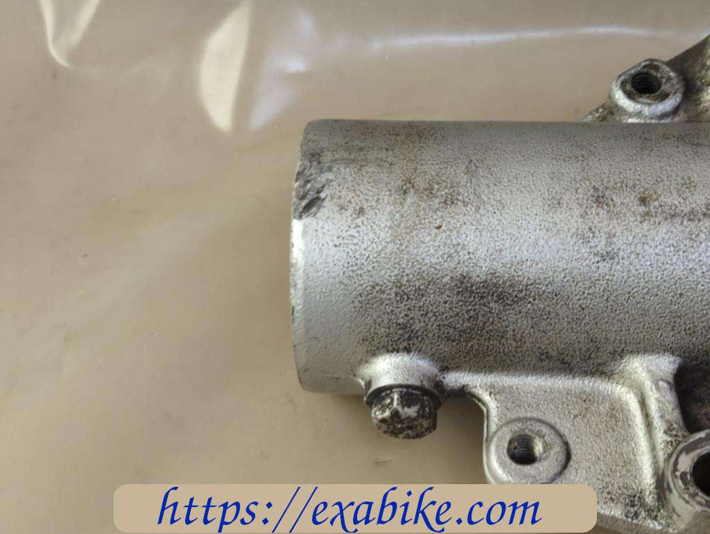 lower fork cases, left Honda NX 650 dominator - photo 3