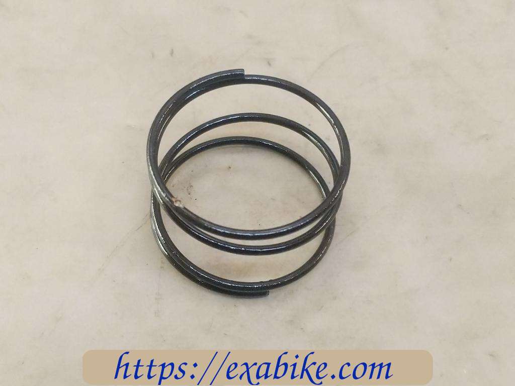 spring Suzuki GS 550 - photo 1