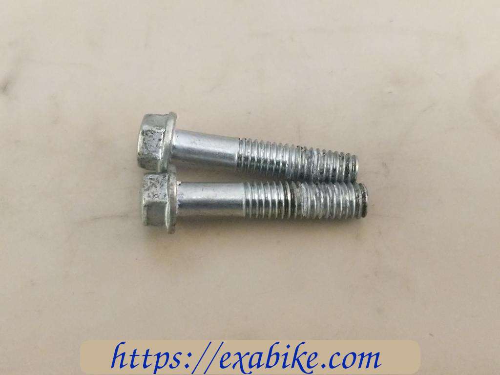 screw Suzuki GSF 650 Bandit - photo 1