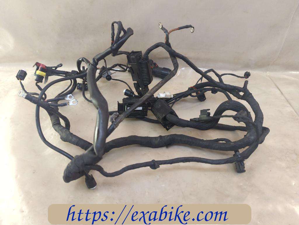 wire harness BMW F800ST - photo 1