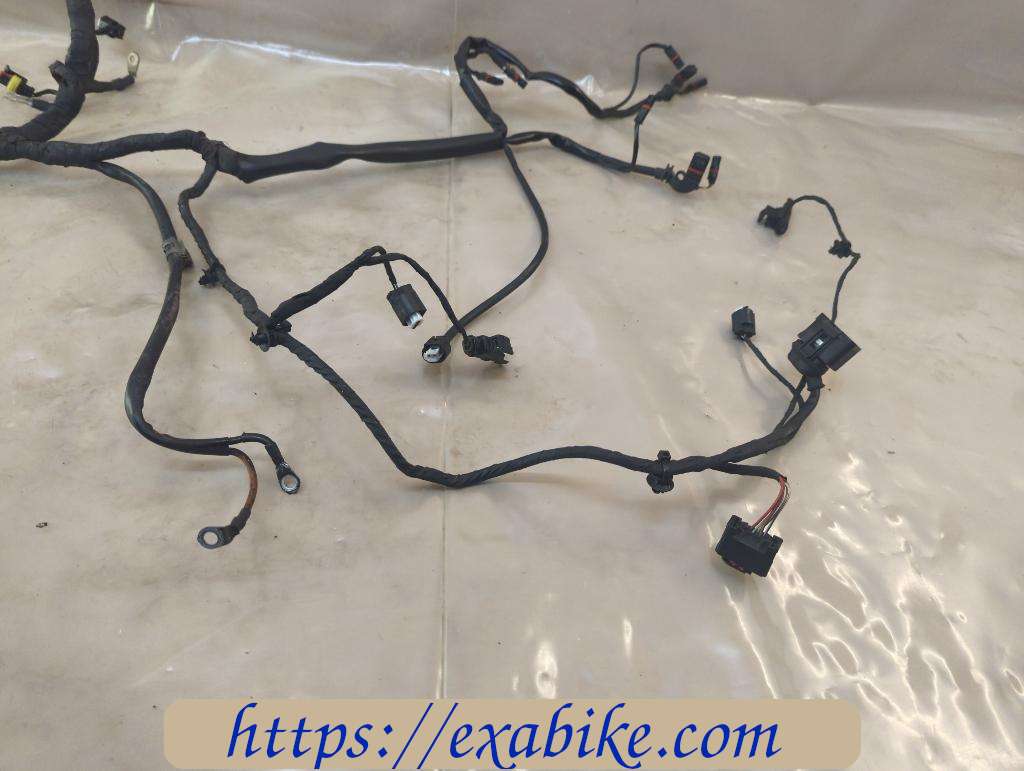 wire harness BMW F800ST - photo 2