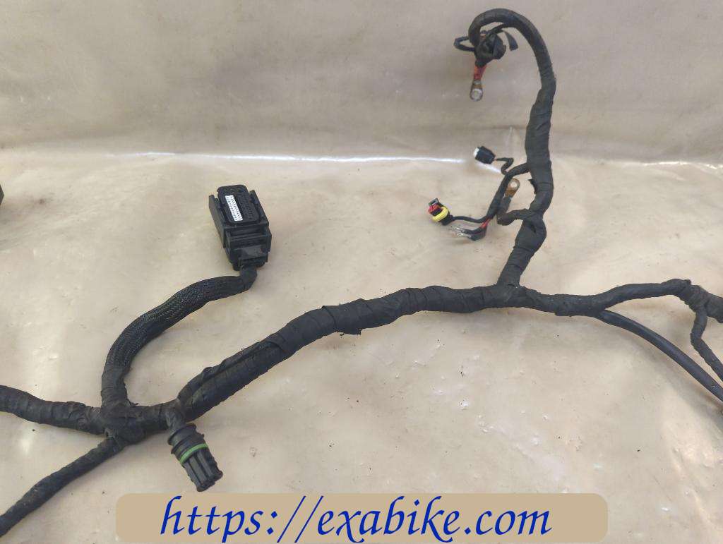 wire harness BMW F800ST - photo 3