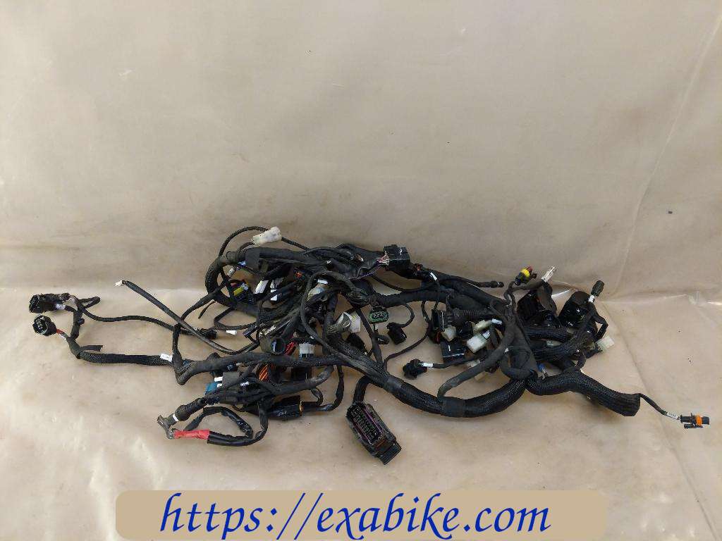 wire harness Ducati Multistrada 1260 S - photo 1