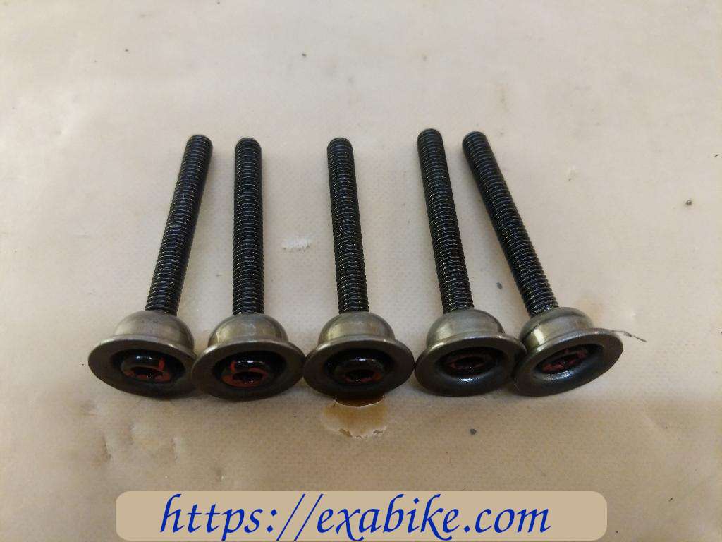 clutch screw Kawasaki Z1000 - photo 1