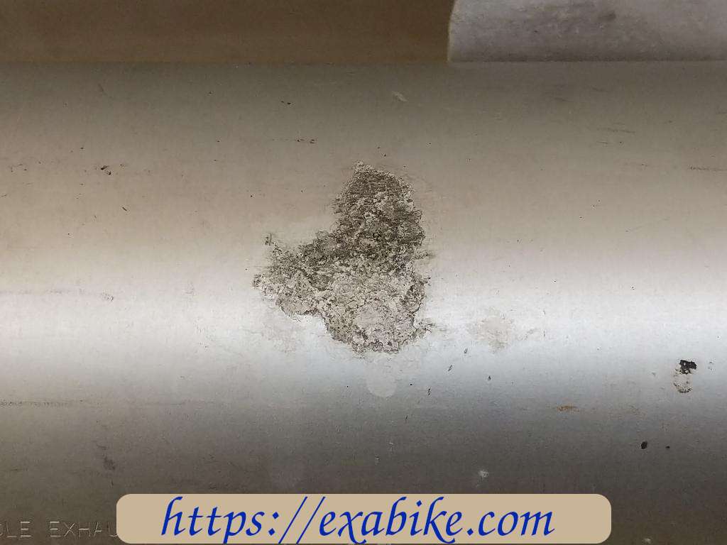 muffler, left Ducati 800 SS - photo 3