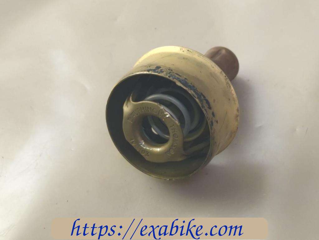 thermostat Triumph Trident 900 - photo 2