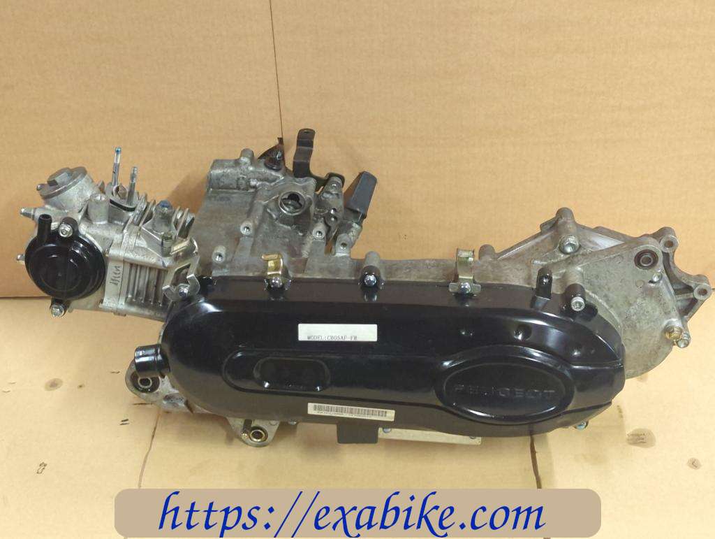 engine Peugeot 50 Tweet - photo 1
