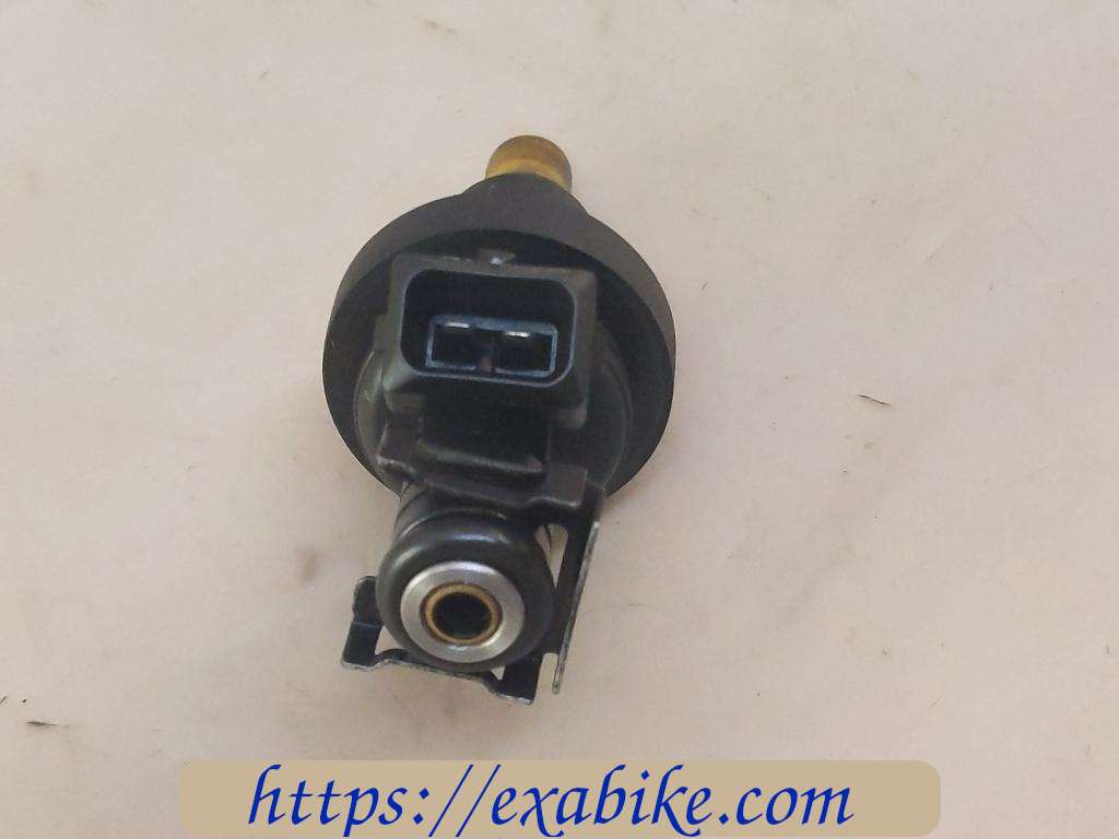 injector BMW R850GS - photo 2