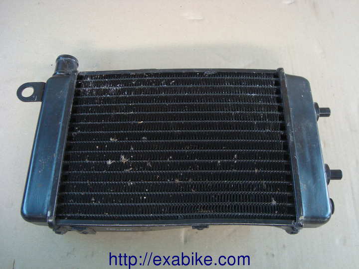 water cooler Aprilia RSV 1000 - photo 1