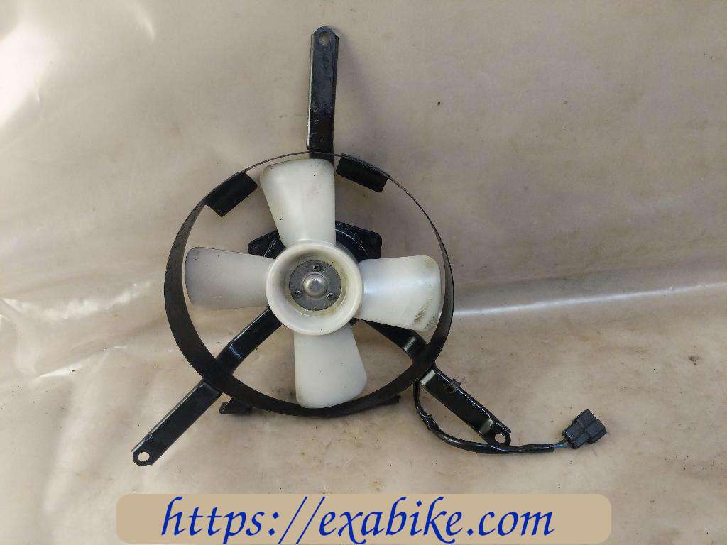 fan Kawasaki ZXR 750 Stinger - photo 1