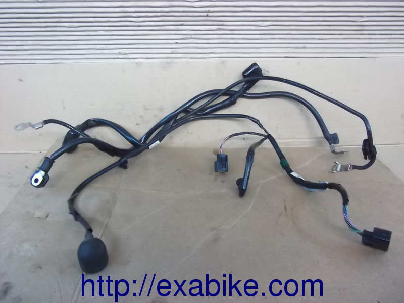 wire harness, engine Honda Hornet 600 - photo 1