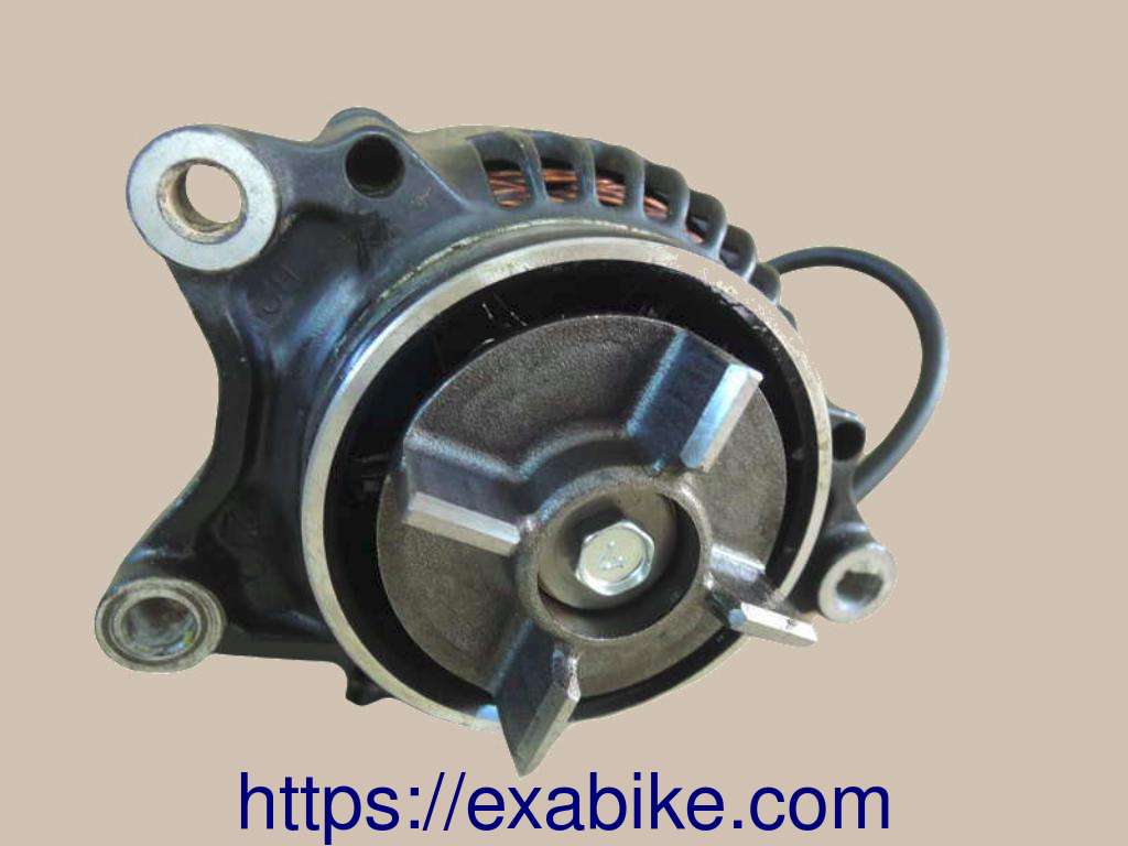 generator Kawasaki 1000 RX - photo 1